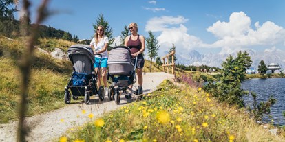 Ausflug mit Kindern - Themenschwerpunkt: Tiere - PLZ 5575 (Österreich) - Kinderwagen-Rundweg - Kinder-Erlebniswelt auf der Reiteralm