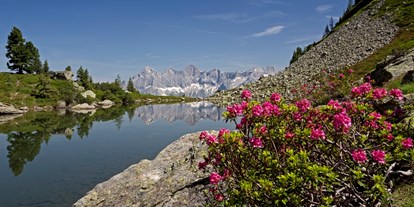 Ausflug mit Kindern - Ausflugsziel ist: ein Naturerlebnis - PLZ 5453 (Österreich) - Spiegelsee zur Almrauschblüte - Wanderhighlight: "Spiegelsee" auf der Reiteralm