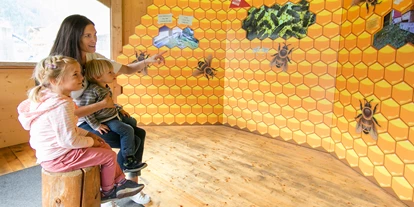 Viaggio con bambini - Steinhaus (Trentino-Südtirol) - Die fleißigen Honigbienen beobachten. - Erlebnissennerei Zillertal