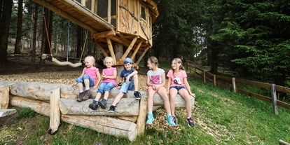 Ausflug mit Kindern - Kinderwagen: großteils geeignet - Mareit, Kirchdorf 25, Ratschings - Baumhausweg - Spielen und Entdecken in luftiger Höhe!