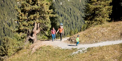 Ausflug mit Kindern - Umgebungsschwerpunkt: Wald - Schönberg im Stubaital - Naturlehrweg - Flora und Fauna spielerisch kennenlernen!