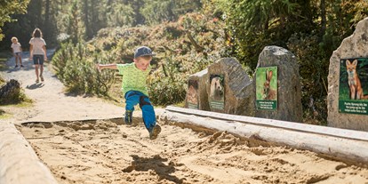 Ausflug mit Kindern - Ausflugsziel ist: ein Weg - Schönberg im Stubaital - Naturlehrweg - Flora und Fauna spielerisch kennenlernen!
