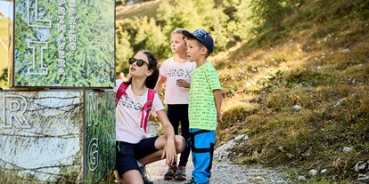 Ausflug mit Kindern - Kinderwagen: großteils geeignet - Stubaital - Naturlehrweg - Flora und Fauna spielerisch kennenlernen!