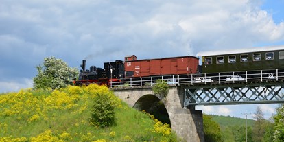 Ausflug mit Kindern - Ausflugsziel ist: eine Bahn - Hilders - Mit der Dampflok ins Museum: Das Rhön-Zügle - Rhön-Zügle