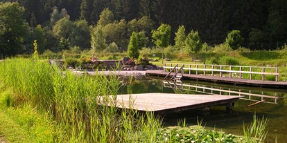 Ausflug mit Kindern - Kinderwagen: vollständig geeignet - Dörfl (Assling) - Naturschwimmbad Waldbad Mauthen