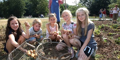 Ausflug mit Kindern - Stockheim (Landkreis Rhön-Grabfeld) - Ran an die Knolle! Gemeinsame Kartoffelernte beim FreiLandFest Ende August - Fränkisches Freilandmuseum Fladungen