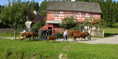 Voyage avec des enfants - Floß - Freilandmuseum Oberpfalz