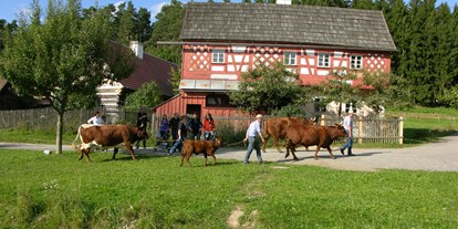 Ausflug mit Kindern - Witterung: Schönwetter - Ostbayern - Freilandmuseum Oberpfalz
