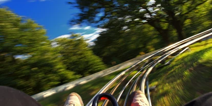 Trip with children - Himmelkron - Symbolbild für Ausflugsziel Alpine Coaster am Ochsenkopf. Keine korrekte oder ähnlich Darstellung! - Alpine Coaster am Ochsenkopf