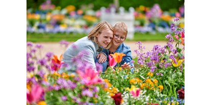 Ausflug mit Kindern - Kinderwagen: großteils geeignet - Feuchtwangen - Natur und Blumenpracht im Hofgarten und in der grünen Umgebung - Hohenzollernresidenz Ansbach