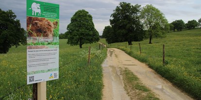 Ausflug mit Kindern - Weg: Lernweg - Erlebnisweg "Lea und Ben bei den Mutterkühen" in Malleray (BE)