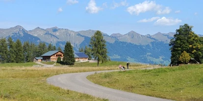 Trip with children - Witterung: Kälte - Schnepfau - Weg zur Alpe Rona auf der Tschengla im Brandnertal - Alpe Rona