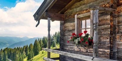 Ausflug mit Kindern - Preisniveau: günstig - Schnepfau - Alpe Rona