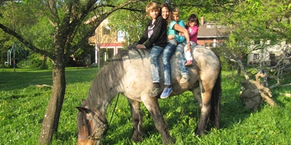 Ausflug mit Kindern - Ausflugsziel ist: ein Bauernhof - Kleinberg (Nußdorf am Haunsberg) - Himmelreichhof