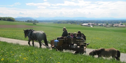 Ausflug mit Kindern - Ausflugsziel ist: ein Bauernhof - Kleinberg (Nußdorf am Haunsberg) - Himmelreichhof