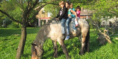 Ausflug mit Kindern - Ausflugsziel ist: ein Bauernhof - Öppling - Himmelreichhof