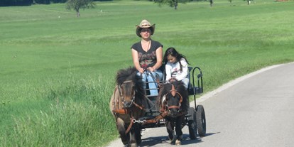 Ausflug mit Kindern - Ausflugsziel ist: ein Bauernhof - Öppling - Himmelreichhof