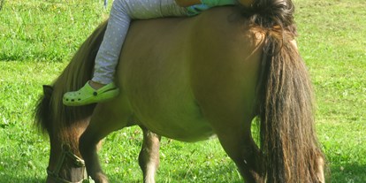 Ausflug mit Kindern - Themenschwerpunkt: Pferde - Haarlacken - Himmelreichhof