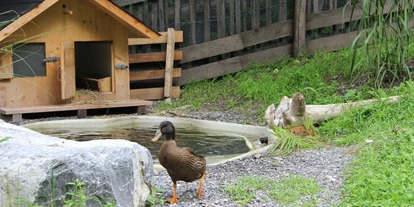 Trip with children - Ausflugsziel ist: ein Streichelzoo - Austria - Enten und andere Tiere können entdeckt werden - Tiererlebnispfad Brandnertal