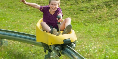 Ausflug mit Kindern - Ausflugsziel ist: eine Sommerrodelbahn - Symbolbild für Ausflugsziel Blombergbahnen. Keine korrekte oder ähnlich Darstellung! - Blombergbahnen