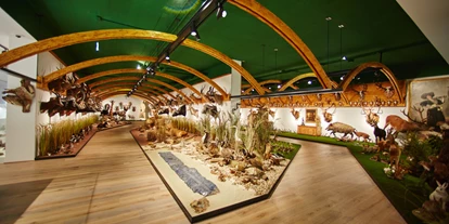 Ausflug mit Kindern - Ausflugsziel ist: ein Museum - Blons (Blons) - Arche Noah – Sammlung Kunst & Natur