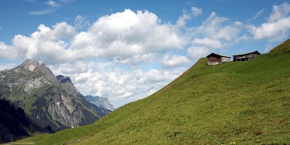 Ausflug mit Kindern - Witterung: Bewölkt - Österreich - Alpe Batzen - Alpmuseum "uf'm Tannberg"