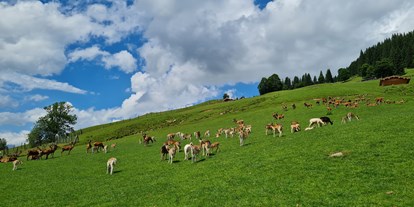 Ausflug mit Kindern - Unterweißbach (Weißbach bei Lofer) - Wildpark Aurach