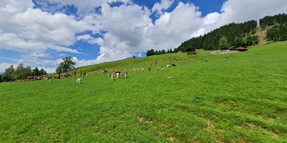Ausflug mit Kindern - Schulausflug - Tirol - Wildpark Aurach