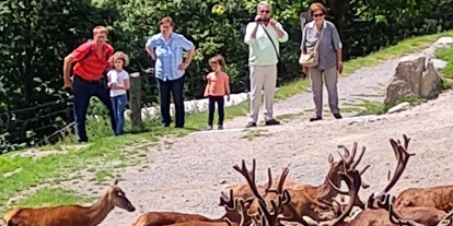 Ausflug mit Kindern - outdoor - Tirol - Wildpark Aurach