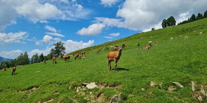 Ausflug mit Kindern - PLZ 5733 (Österreich) - Wildpark Aurach