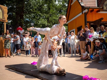 Ausflug mit Kindern - Themenschwerpunkt: Bewegung - Österreich - Sonnwendfest im Familypark