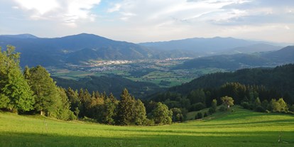 Ausflug mit Kindern - Ausflugsziel ist: ein Weg - Hönigsberg (Langenwang, Mürzzuschlag) - Romantischer Bründlweg am Pogusch