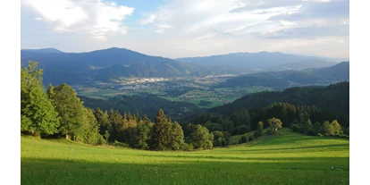 Ausflug mit Kindern - Schatten: halb schattig - Steiermark - Aussicht ins Mürztal! - Romantischer Bründlweg am Pogusch