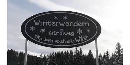 Trip with children - Mürzzuschlag - Eine romantische Winterwanderung am Bründlweg ist super! - Romantischer Bründlweg am Pogusch