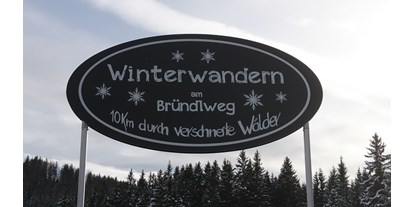 Ausflug mit Kindern - Schatten: halb schattig - Hönigsberg (Langenwang, Mürzzuschlag) - Eine romantische Winterwanderung am Bründlweg ist super! - Romantischer Bründlweg am Pogusch