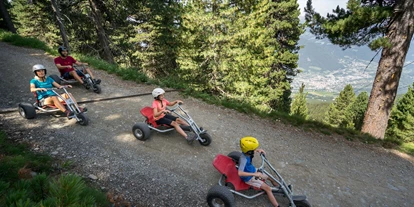 Trip with children - St. Martin in Thurn - Mountaincarts Plose