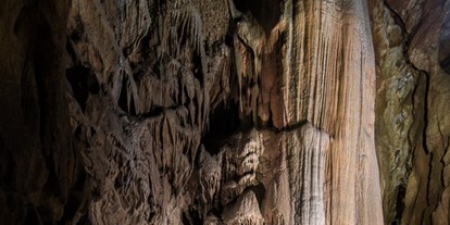Ausflug mit Kindern - Stübinggraben - Der Riese  -  größter, freihängender Tropfstein der Welt - Lurgrotte Semriach