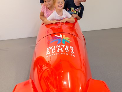Ausflug mit Kindern - Alter der Kinder: über 10 Jahre - Waisenegg - Bobfahrt - WinterSportMuseum Mürzzuschlag