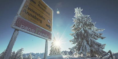 Ausflug mit Kindern - Witterung: Bewölkt - Scheffau am Tennengebirge - Skiregion Dachstein West - Gosau, Russbach, Annaberg