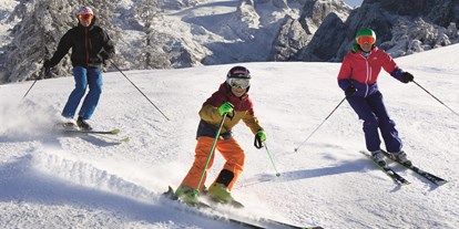 Ausflug mit Kindern - Preisniveau: günstig - Langwies (Ebensee) - Dachstein West - das familiärste Skigebiet Österreichs - Skiregion Dachstein West - Gosau, Russbach, Annaberg