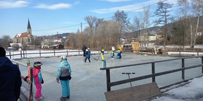Ausflug mit Kindern - Ausflugsziel ist: eine Sportanlage - Vorderweißenbach - Eissportanlage St. Oswald