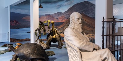 Ausflug mit Kindern - Pfarrkirchen bei Bad Hall - Eine Zeitreise durch die Evolution - Evolutionsmuseum Schmiding