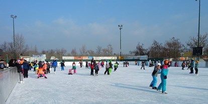 Ausflug mit Kindern - Witterung: Kälte - Maria Gugging - Kunsteisbahn der Stadt Tulln