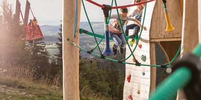 Ausflug mit Kindern - Witterung: Bewölkt - Waisenegg - Kletterturm - Erlebnisalm Mönichkirchen
