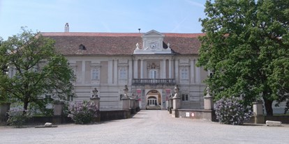 Ausflug mit Kindern - Groißenbrunn - Schloss Rohrau – Graf Harrach’sche Familiensammlung