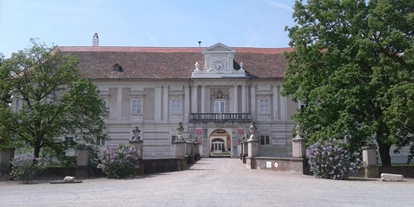 Trip with children - Purbach am Neusiedler See - Schloss Rohrau – Graf Harrach’sche Familiensammlung