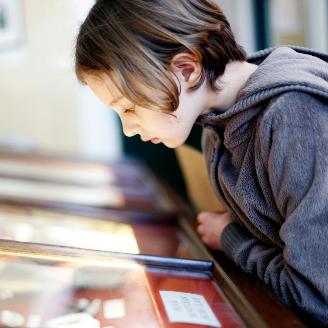 Ausflugsziel - Symbolbild für Ausflugsziel Universitätsmuseum. Keine korrekte oder ähnlich Darstellung! - Universitätsmuseum