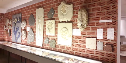 Trip with children - Schatten: vollständig schattig - Germany - Versteinerungen von Ammoniten. - Fossilien- und Steindruck-Museum