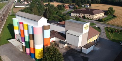 Ausflug mit Kindern - Umgebungsschwerpunkt: Berg - Moos (Enns) - Kunst am Getreidesilo der Rosenfellner Mühle von Künstler Florian Naehrer - Rosenfellner Mühle