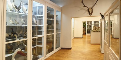 Ausflug mit Kindern - indoor - Großostheim - © Museen der Stadt Aschaffenburg, Foto: Ines Otschik - Naturwissenschaftliches Museum